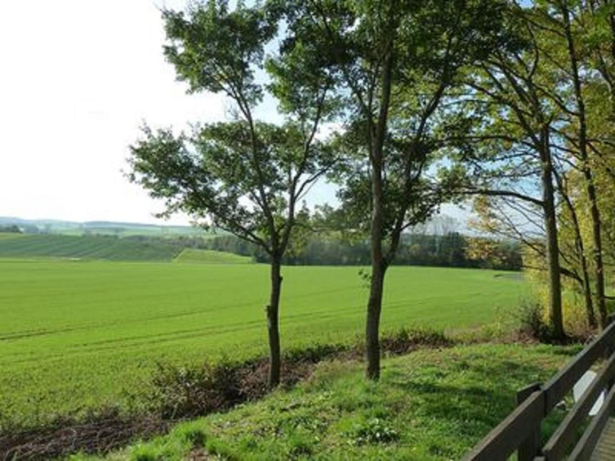 Feriendorf Sulzfeld Villa Sulzfeld  Exteriör bild
